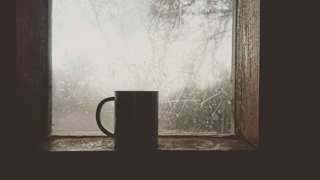 Mug in a bright window.