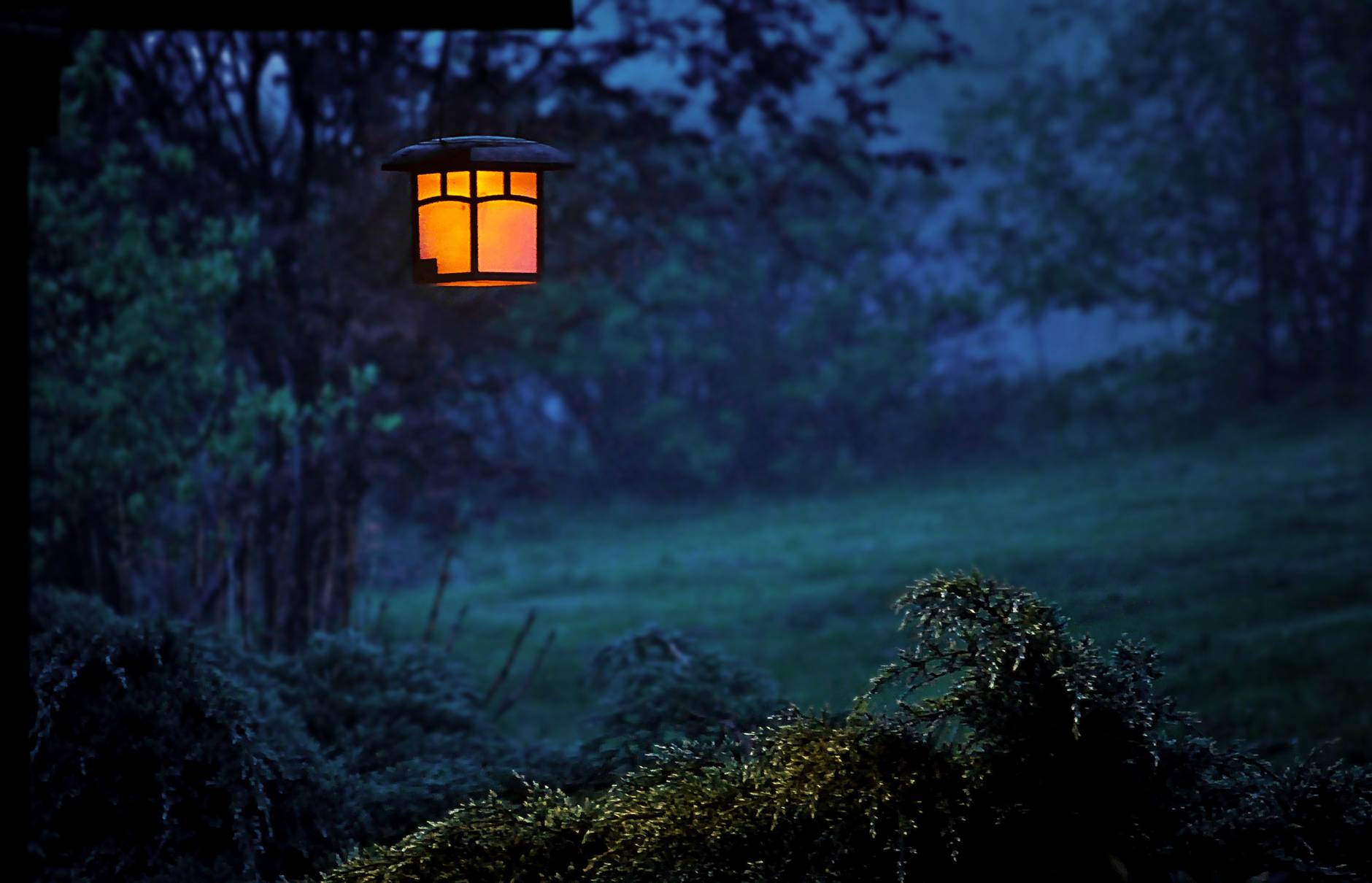 Lantern in the woods